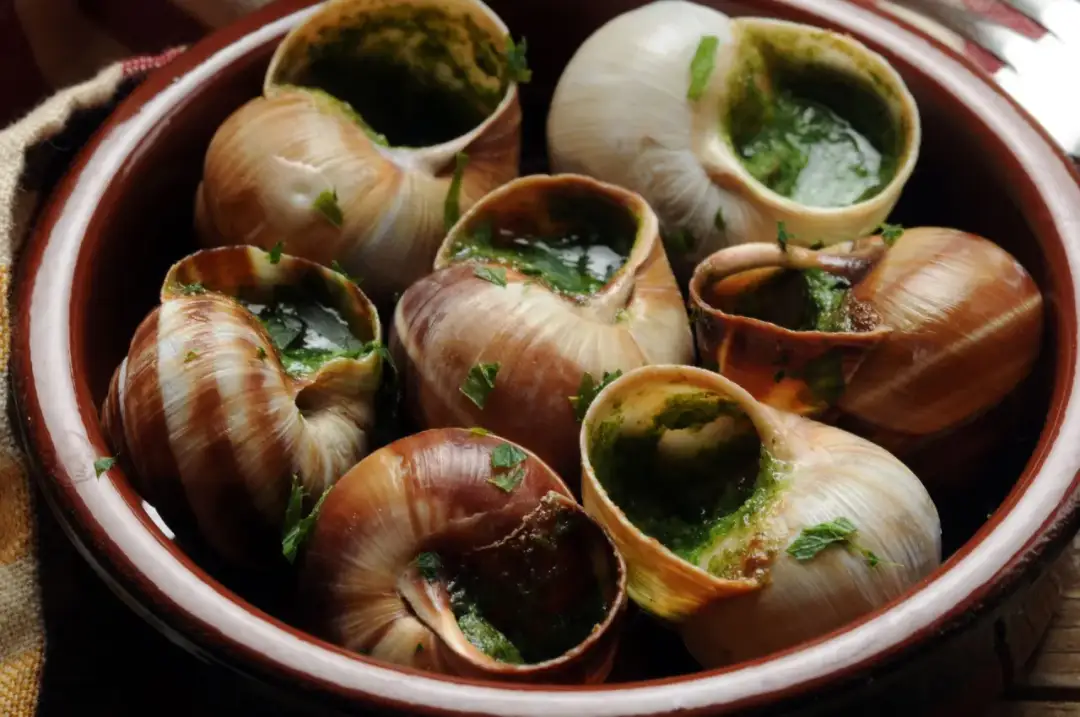 Escargots we Francji: Smak, historia i jak jeść jak Francuz