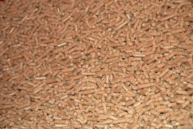 Pellet czy gaz - co wybrać, aby zaoszczędzić i dbać o środowisko?