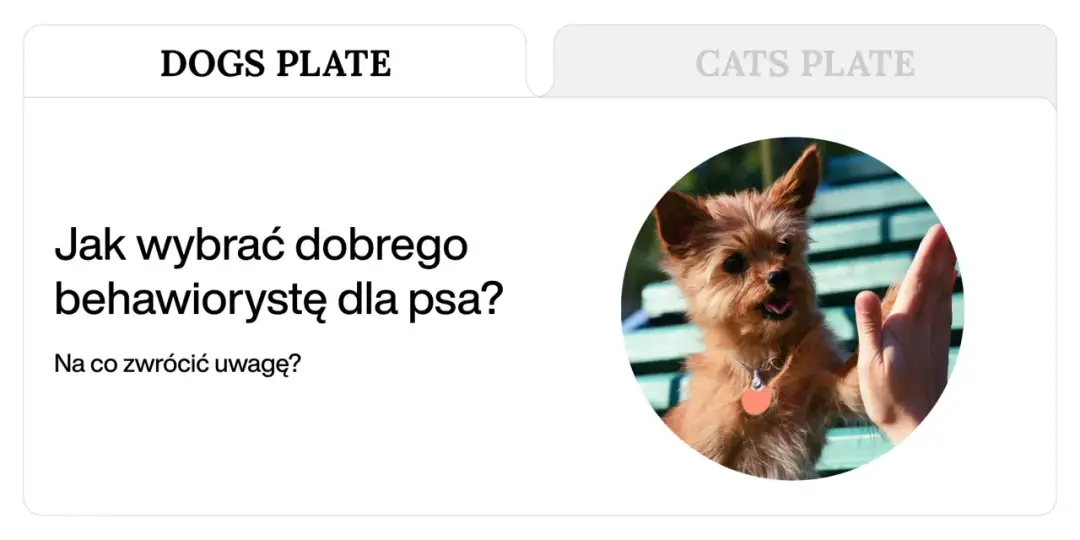 Behawiorysta dla psa z agresją: Jak wybrać eksperta, nie amatora?