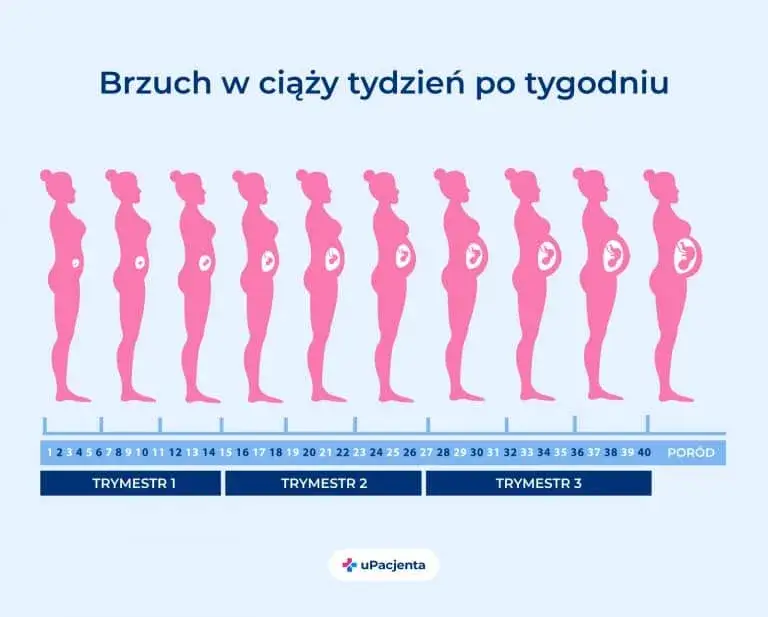 Ile trwa ciąża? Oblicz termin porodu i poznaj kluczowe etapy!