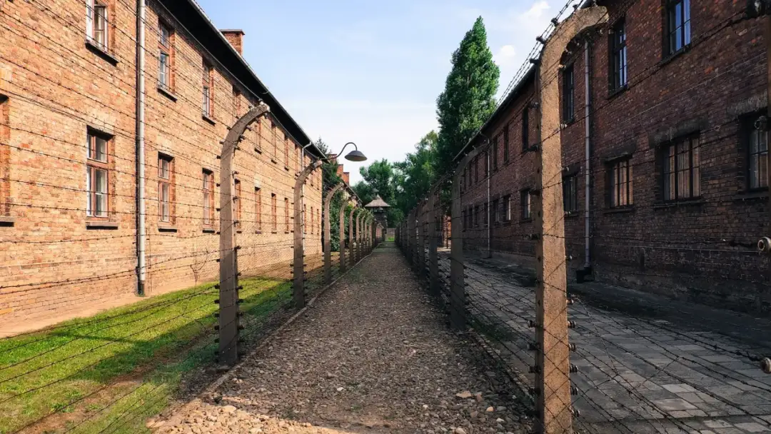Zwiedzanie Auschwitz-Birkenau - Opinie i jak zaplanować wizytę?