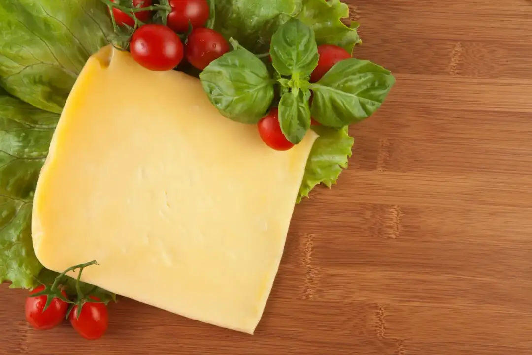 Czy pies może jeść ser? Sprawdź, co musisz wiedzieć o bezpieczeństwie