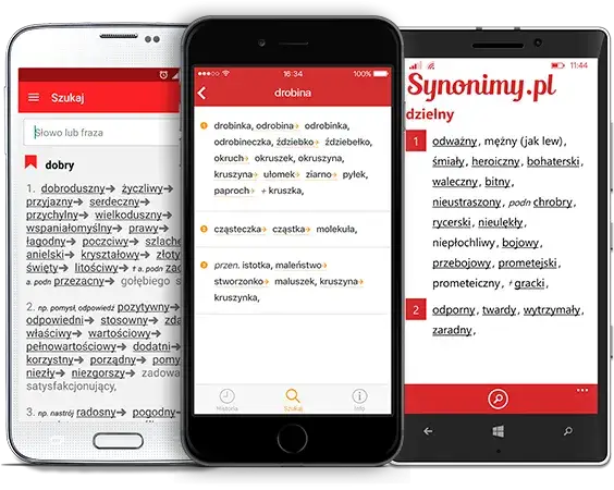 Słownik syno: Znajdź idealne synonimy i wzbogacaj swój język