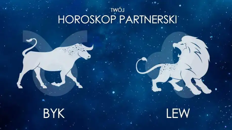 Byk i Lew: Dopasowanie, Miłość, On Byk, Ona Lew