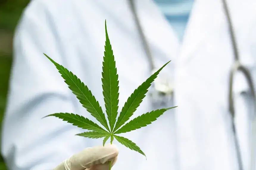 Medyczna marihuana dla kogo? Poznaj schorzenia i pacjentów, którzy zyskują