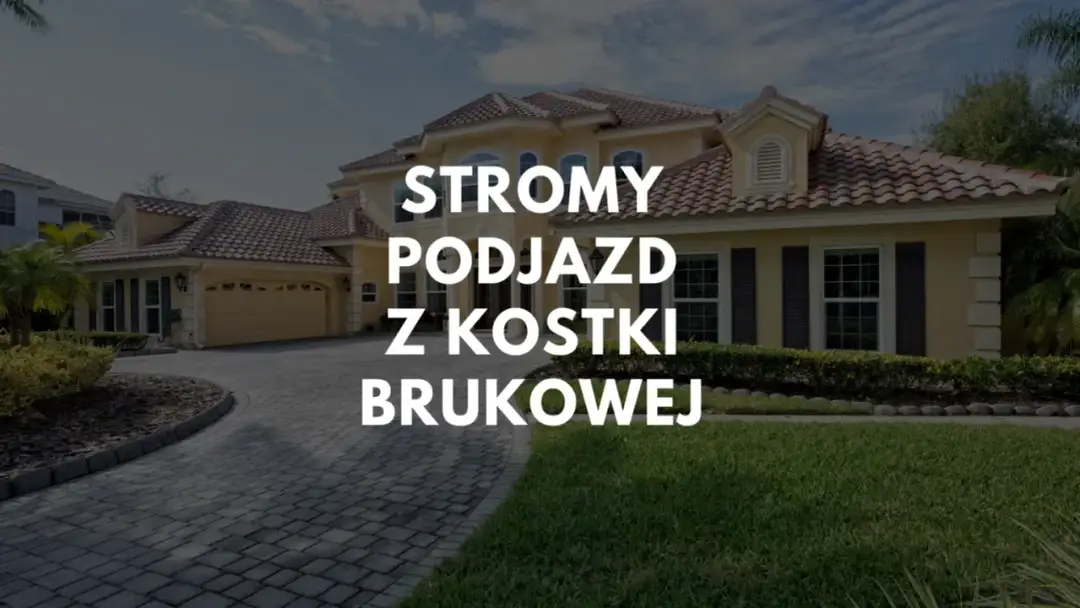 Jak wyłożyć stromy podjazd? Najlepsze materiały i rozwiązania dla bezpieczeństwa