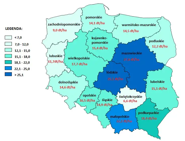 Ile kosztuje dzierżawa działki budowlanej? Ceny w Polsce i czynniki wpływające