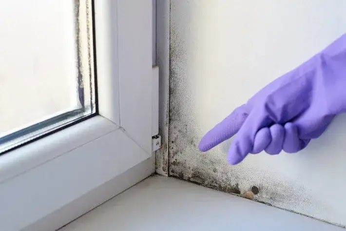 Jak skutecznie usunąć pleśń przy oknach: 5 sprawdzonych metod