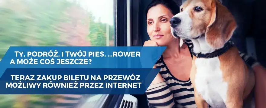 Jak kupić bilet dla psa PKP bez zbędnych problemów i kosztów