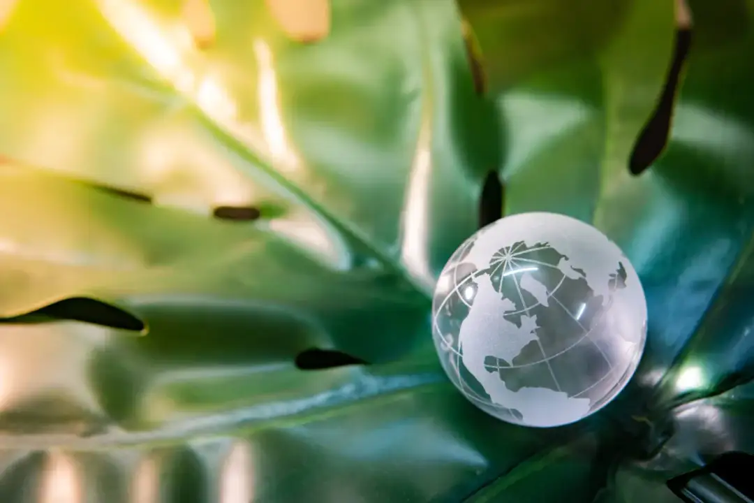 Najnowsze trendy w szkoleniach z ochrony środowiska: jak być na bieżąco z przepisami esg