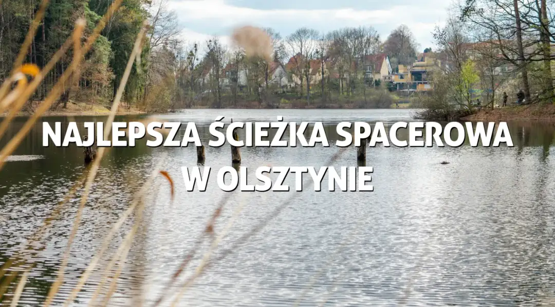 Jezioro Długie w Olsztynie: raj dla miłośników rekreacji i przyrody