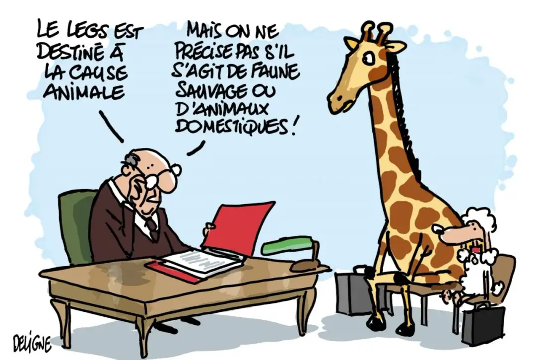 Le legs en France - Comment transmettre ses biens sans erreurs ?