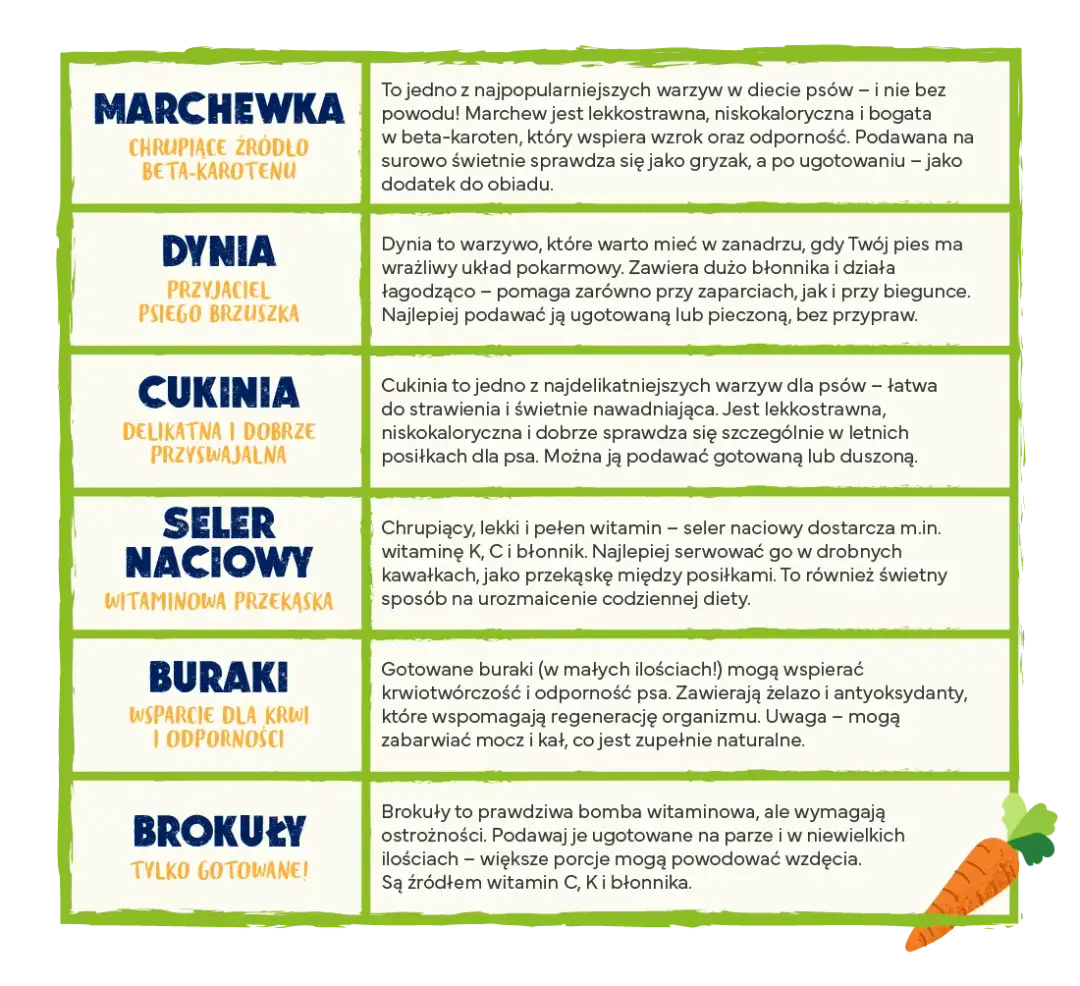 Bezpieczne warzywa dla psa: lista, przygotowanie i porady