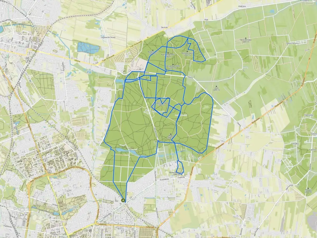 Trasy rowerowe w Łodzi - Gdzie warto jechać i jak planować?