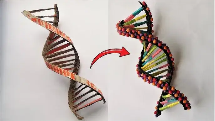 Jak zrobić DNA na biologię - proste kroki do udanego modelu