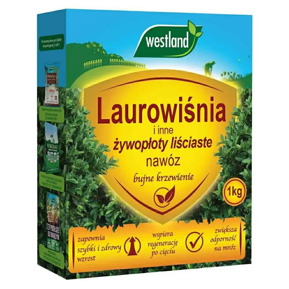 Jaki nawóz do laurowiśni? Odkryj najlepsze sposoby na zdrowe rośliny