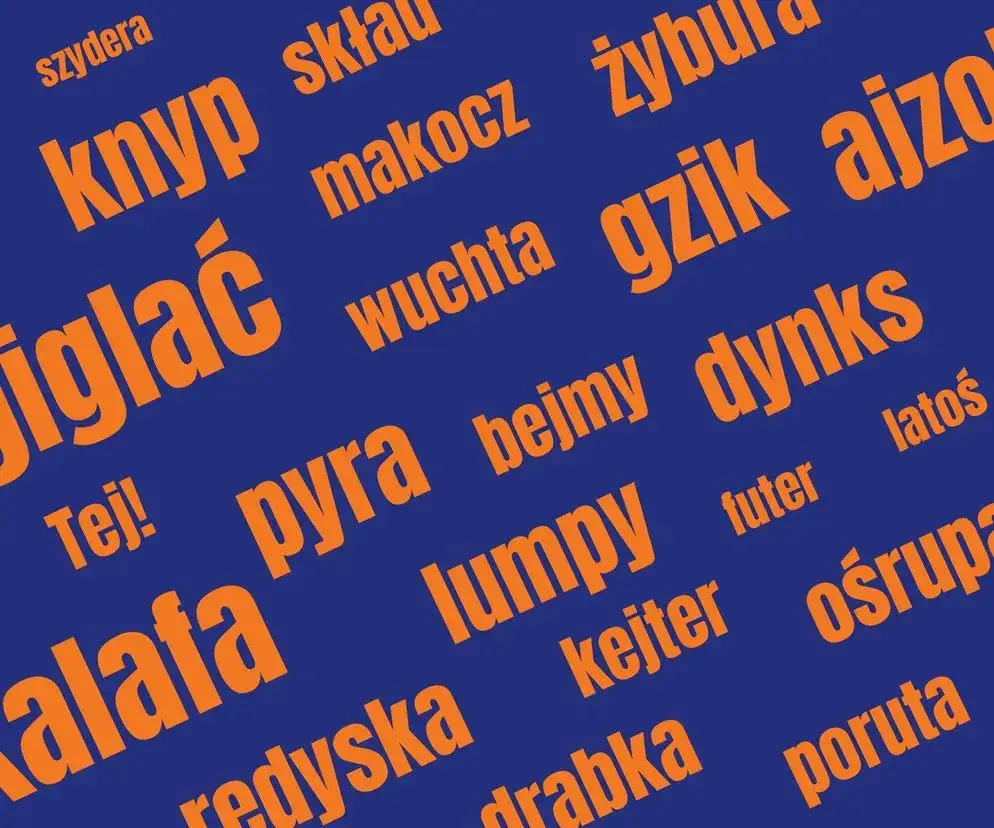 Tej! Słownik gwary poznańskiej: Poznaj kluczowe zwroty Poznania