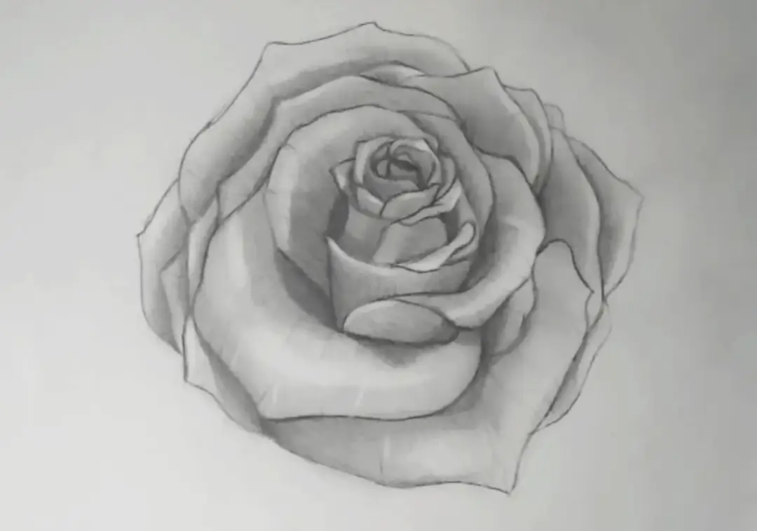 Rose zeichnen lernen: Einfache Schritt-für-Schritt-Anleitung