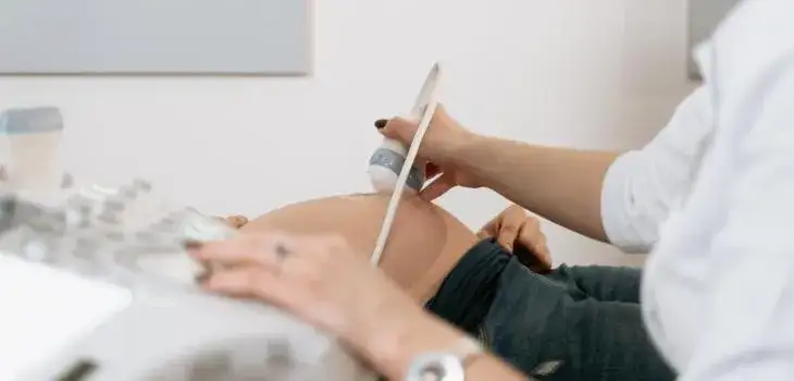 L4 w ciąży a studia: Kiedy ZUS może zabrać zasiłek?