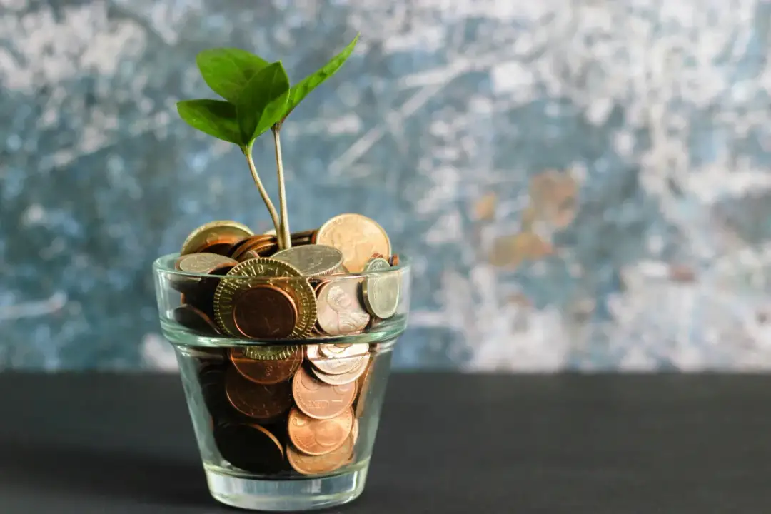 Finansowe oblicza: przegląd rodzajów finansów