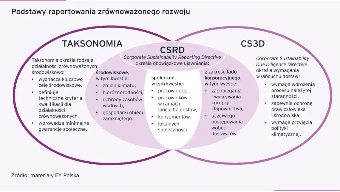 Raport zrównoważonego rozwoju: Kluczowe informacje i przykłady firm
