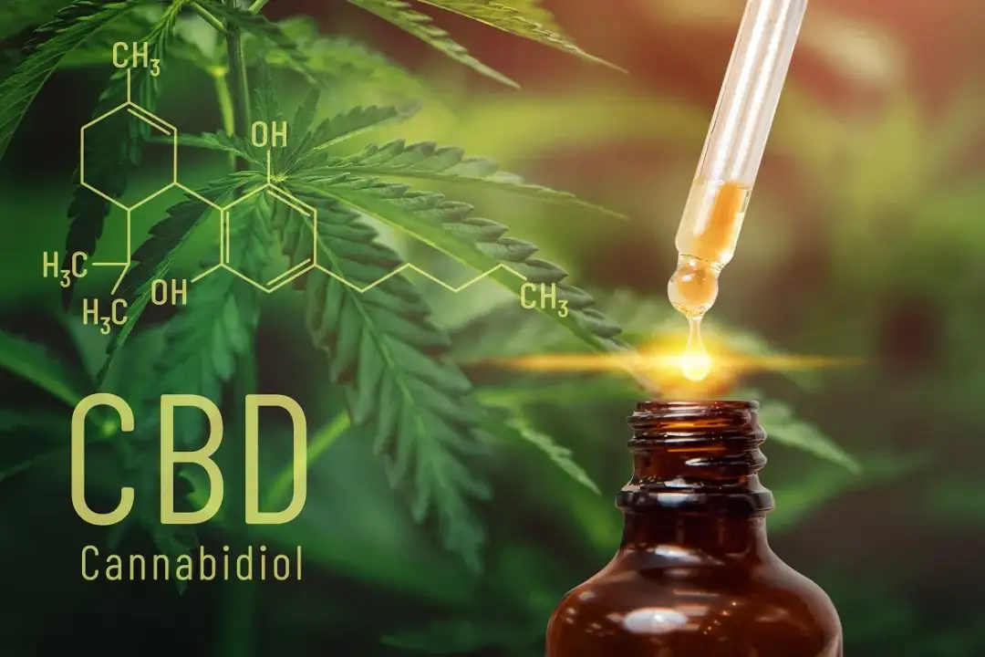 Olejek CBD: Na co działa? Pełny przewodnik po korzyściach