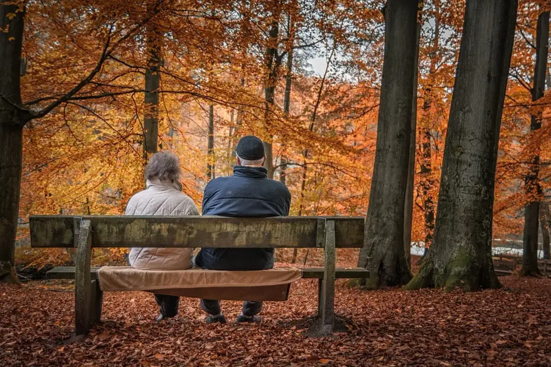 Ranking prywatnych domów opieki na Śląsku - Który będzie najlepszy?