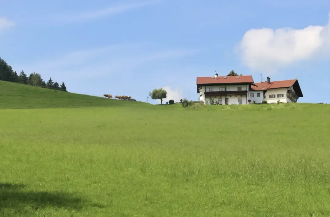 Ile kosztuje ar działki budowlanej na wsi? Ceny, które musisz znać