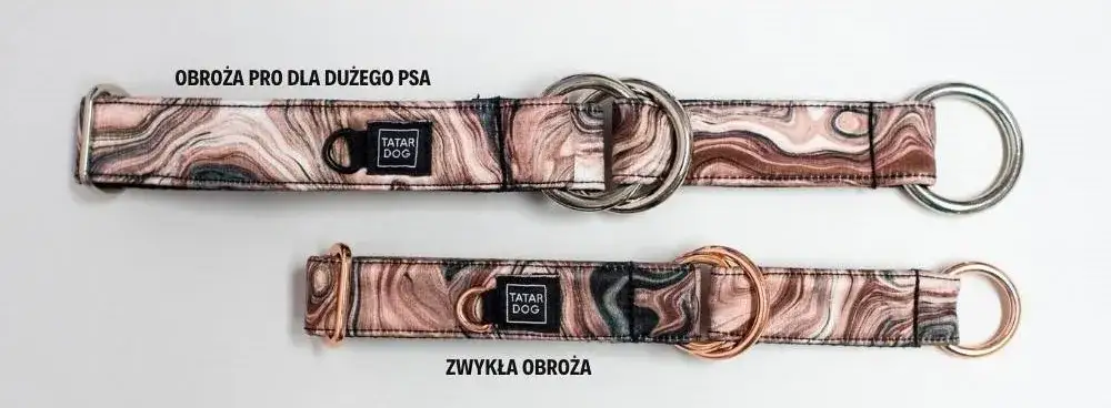 Jaką obrożę wybrać dla psa, aby zapewnić mu komfort i bezpieczeństwo?