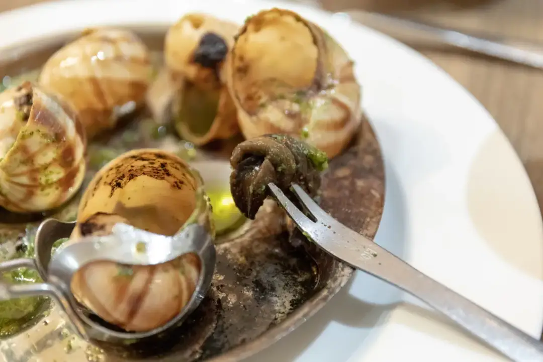 Escargot: Czym jest francuski przysmak i jak go jeść?