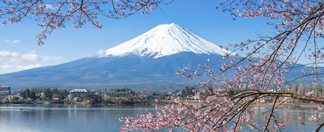 Co może rosnąć w japońskich górach? Odkryj niezwykłą florę Japonii