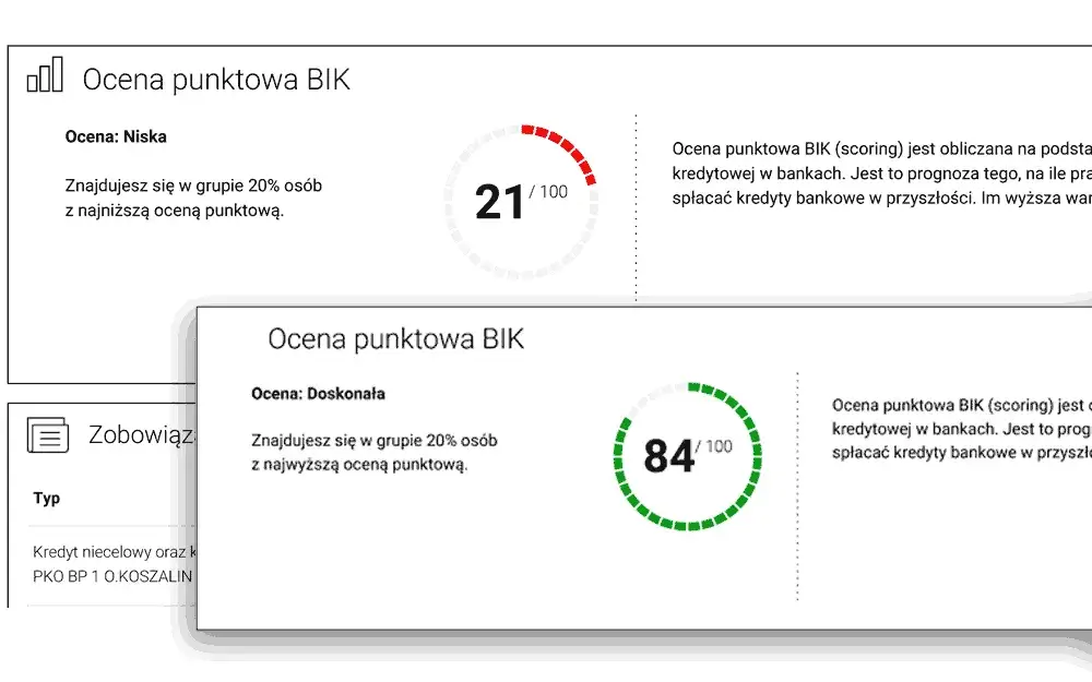Jak czytać Raport BIK? Przewodnik eksperta do Twoich finansów