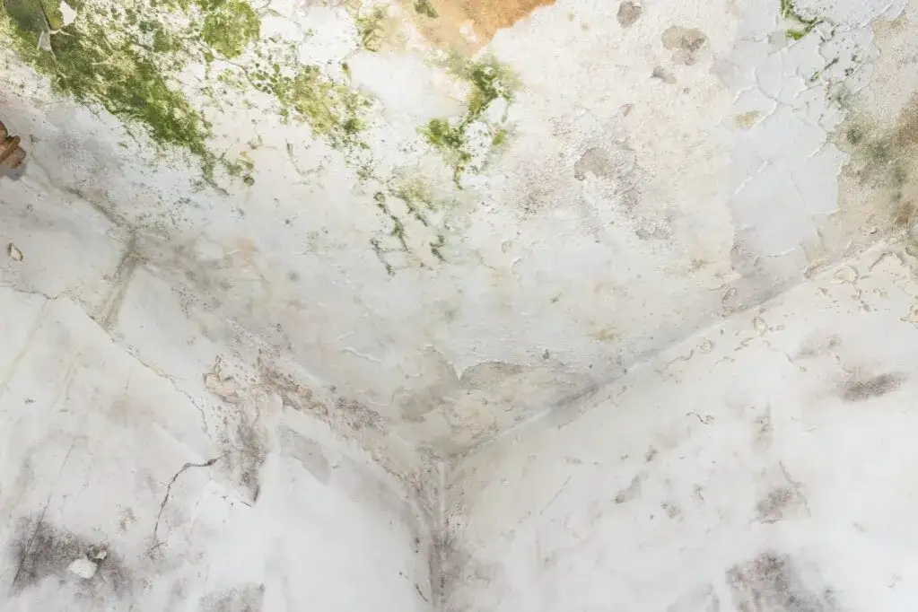 Ile schnie strop po zalaniu? Kluczowe czynniki i metody osuszania