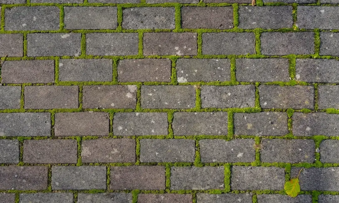 Jak usunąć zielony nalot z kostki brukowej - skuteczne metody i porady