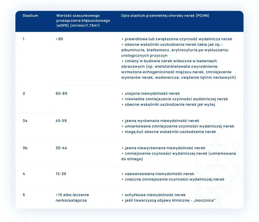 Badanie eGFR – co to jest i dlaczego jest kluczowe dla zdrowia nerek?