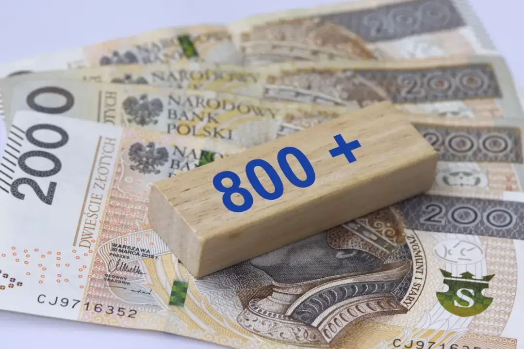 Harmonogram wypłat 800 plus 2025: Sprawdź swój termin!