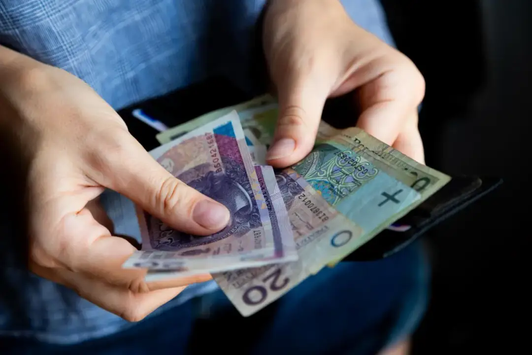 Dłonie liczą polskie banknoty w portfelu. Chcesz wiedzieć, jak sprawdzić ile masz przepracowanych lat?