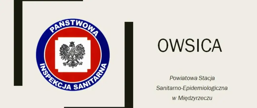 Owsiki w przedszkolu: Czy dziecko może uczęszczać i jak uchronić innych?