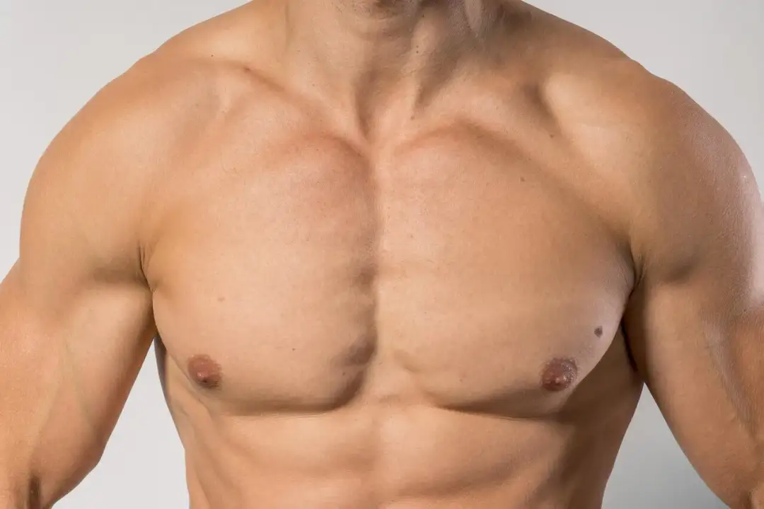 Mięsień piersiowy większy - Anatomia, trening i zdrowie klatki