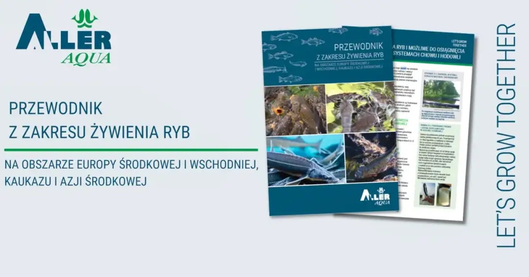 Odmiana "aller": Kompleksowy przewodnik i praktyczne przykłady