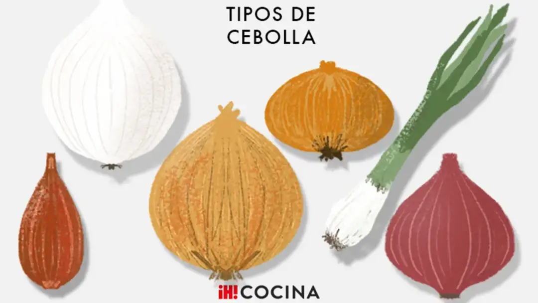Tipos de cebolla - Cómo elegir la variedad ideal para cada receta