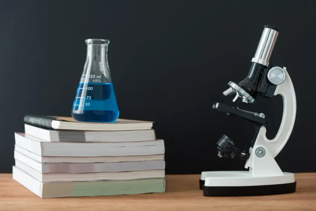 Ile kosztują korepetycje z biologii? Sprawdź ceny w Polsce