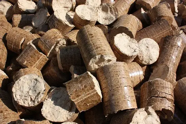 Jak zrobić pellet z gałęzi i uzyskać ekologiczne paliwo w domu