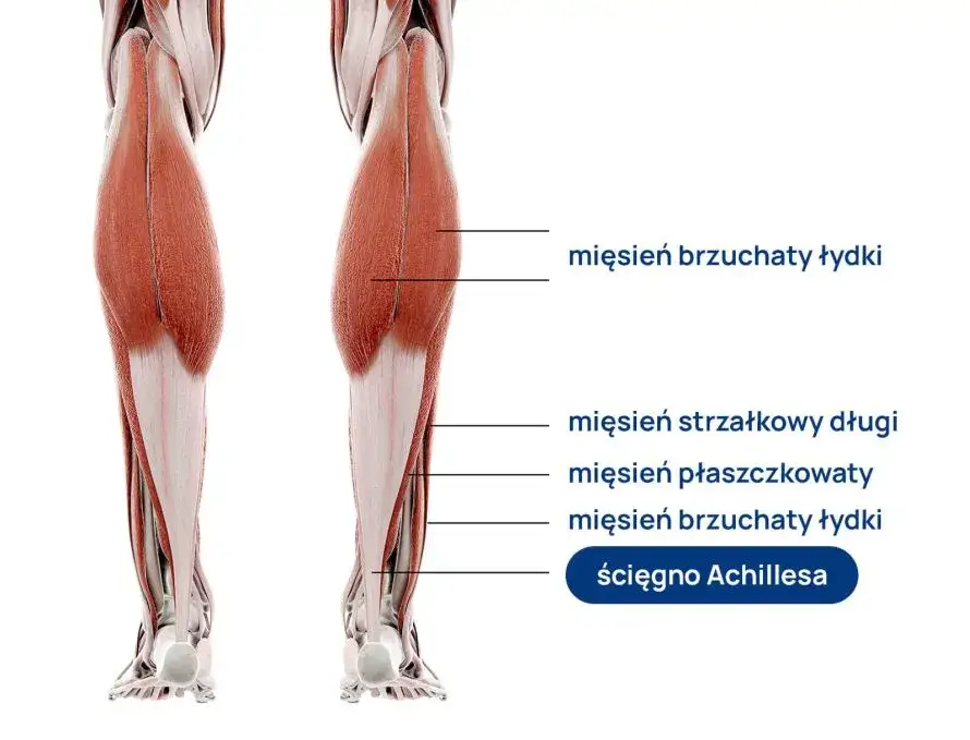 Jak długo boli naciągnięte ścięgno: objawy i skuteczne metody leczenia