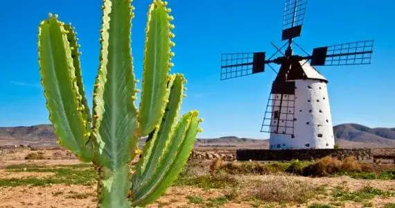 Fuerteventura atrakcje – odkryj nieznane miejsca i wyjątkowe doświadczenia