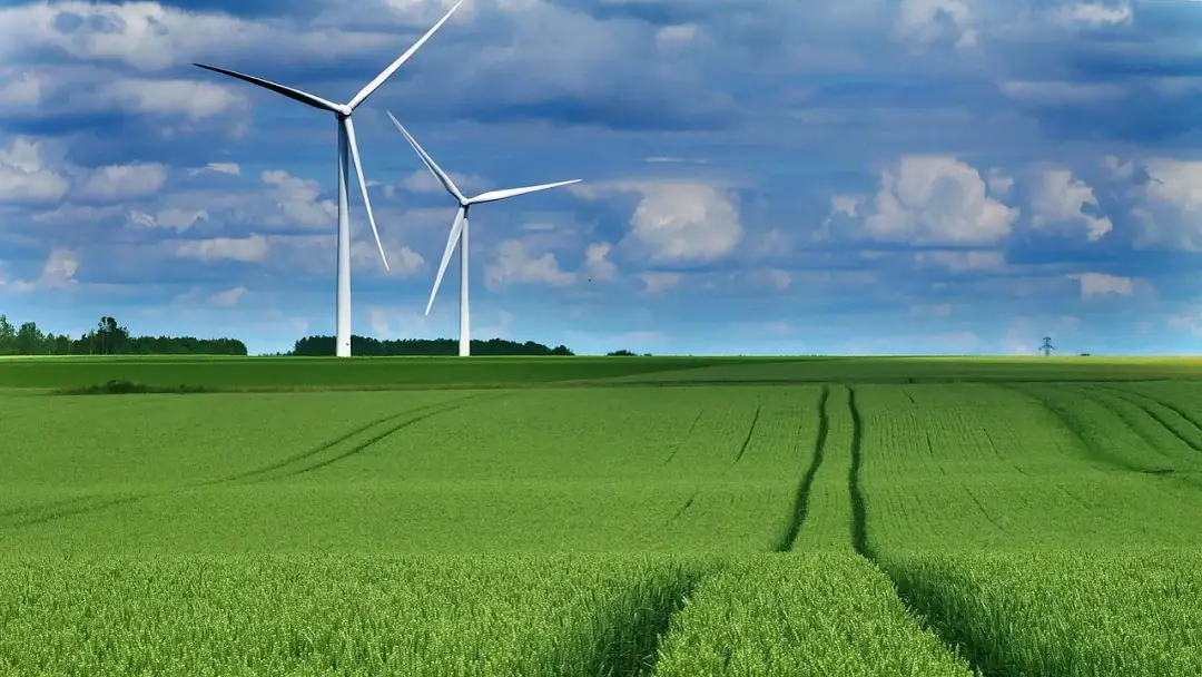 Białe certyfikaty energetyczne - jak uzyskać i na czym zarobić?