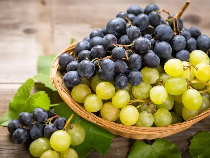 Kaloryczność 1 kg winogron: zaskakująca prawda o wartościach odżywczych