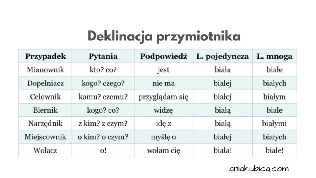 Dictum po polsku: znaczenie i kontekst prawniczy, które musisz znać