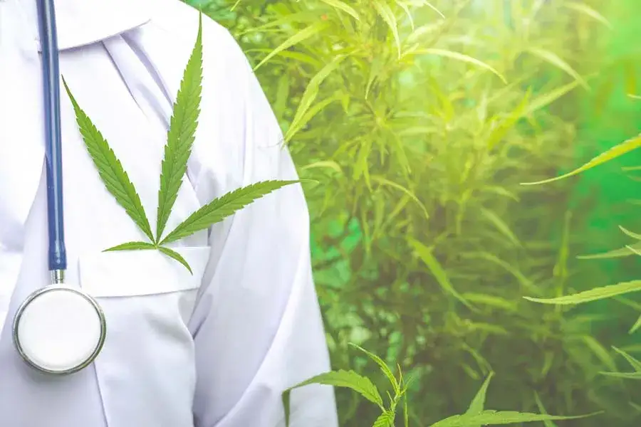 Medyczna marihuana gdzie kupić - jak uniknąć problemów z zakupem