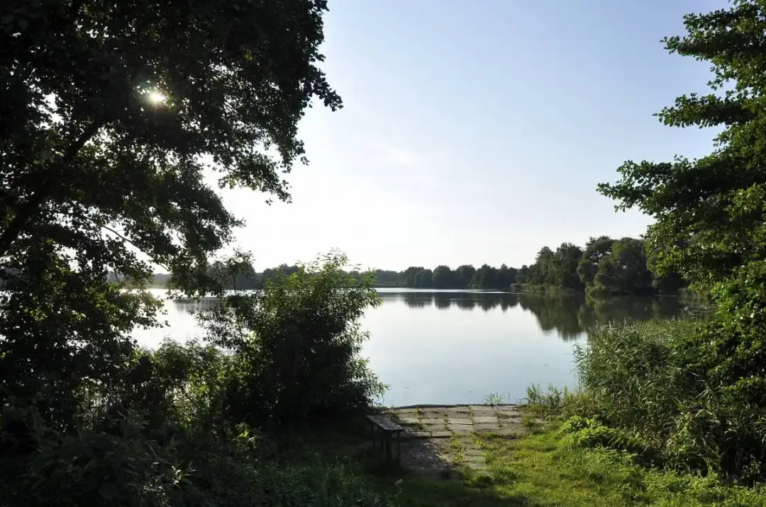 Jezioro Królewskie - piękne miejsce na wypoczynek i atrakcje